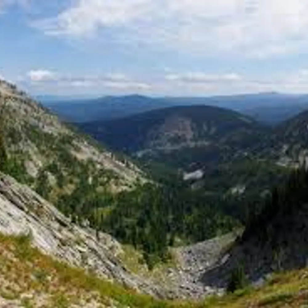 bearealally.bsky.social's profile picture