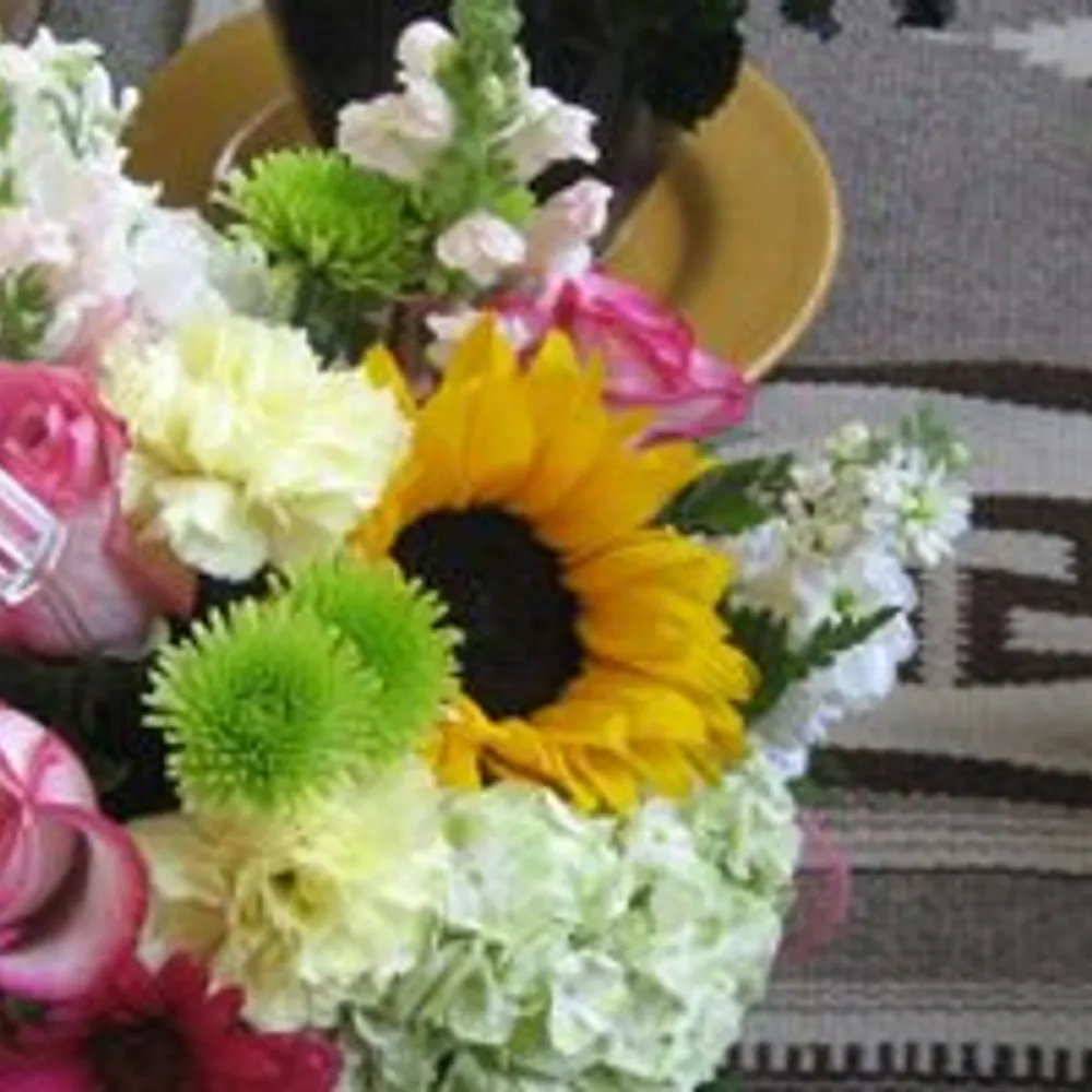 libaoscompanion.bsky.social's profile picture