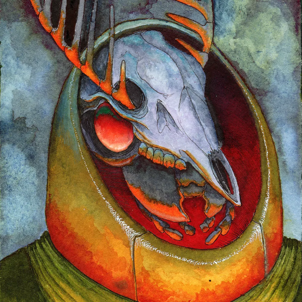 ascalaphid.com's profile picture