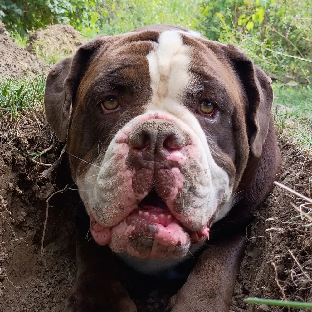 rupe71.bsky.social's profile picture