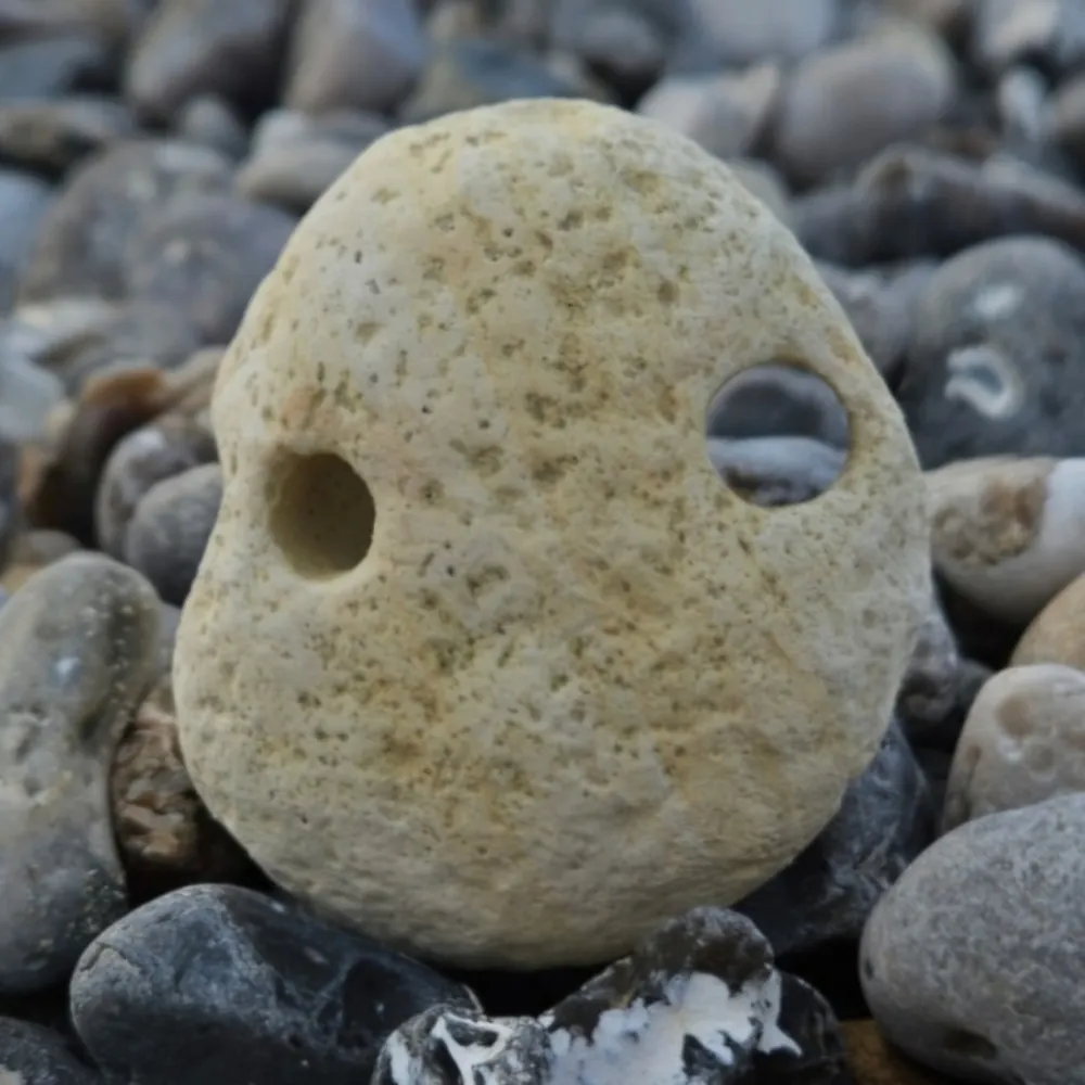 sanktpolypenburg.bsky.social's profile picture