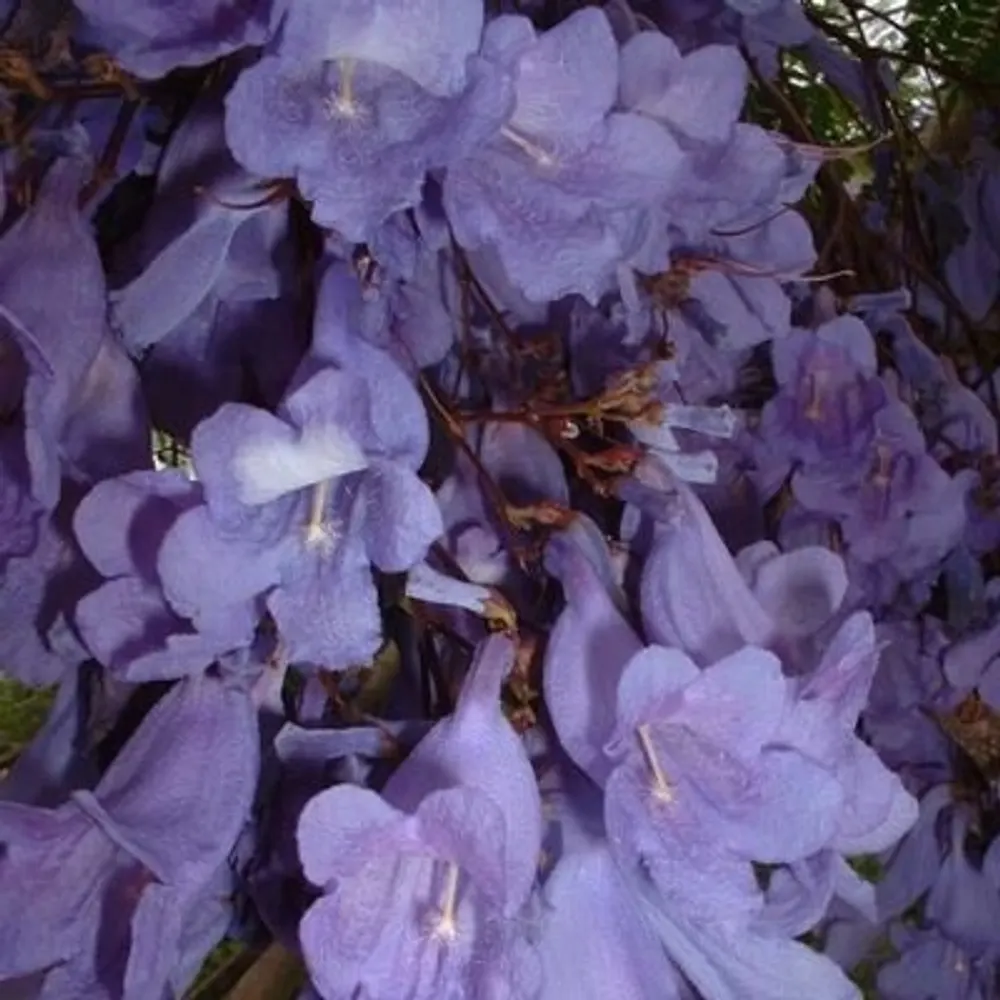 likebook.bsky.social's profile picture