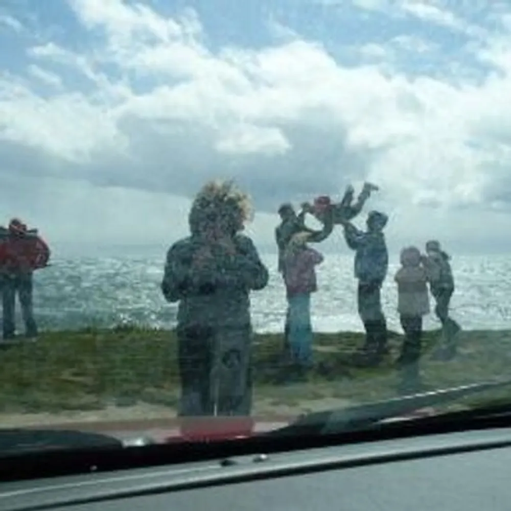 iceblueaccent.bsky.social's profile picture