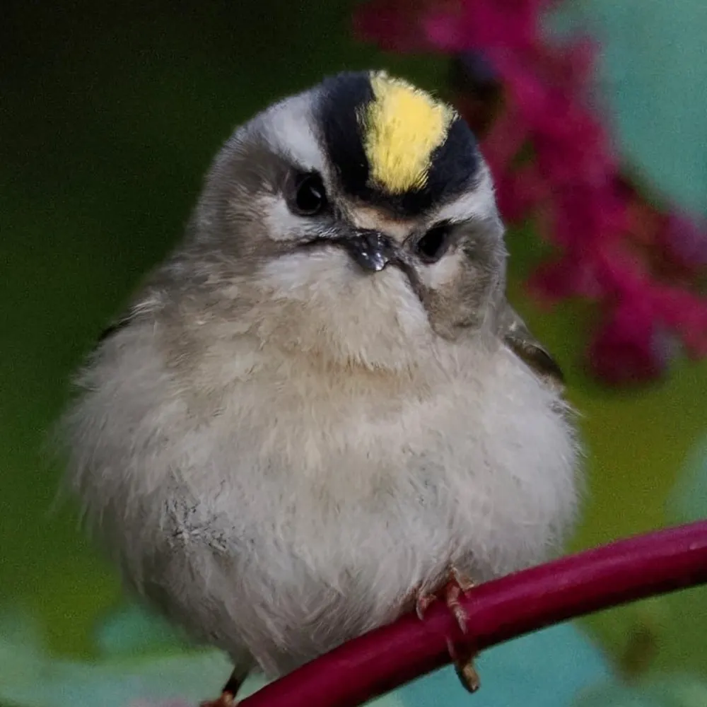 joanfromthebronx.bsky.social's profile picture