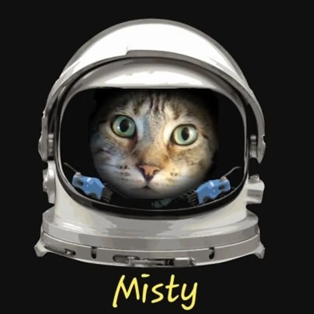 mistykitty3.bsky.social's profile picture