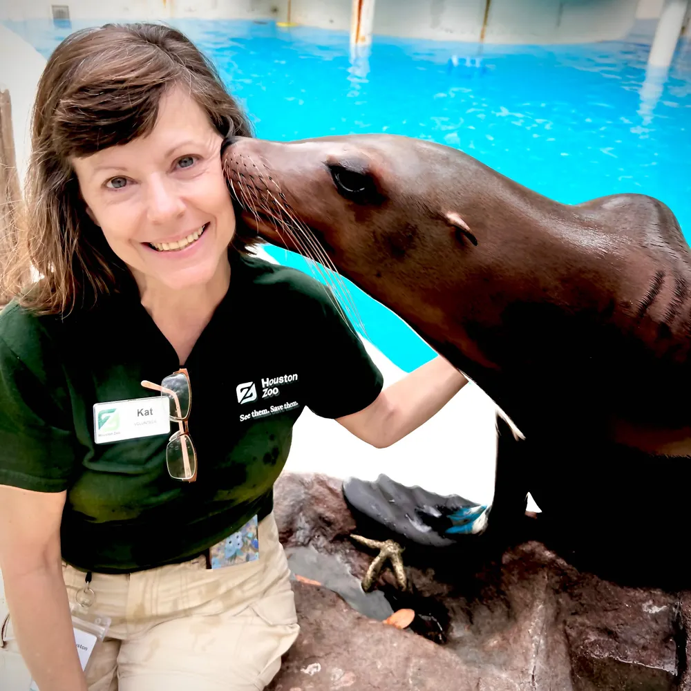 djdizzykat.bsky.social's profile picture