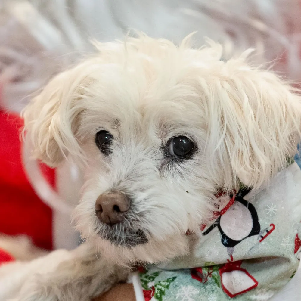 janhamcam.bsky.social's profile picture