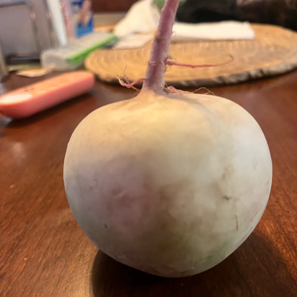 melissainkc.bsky.social's profile picture