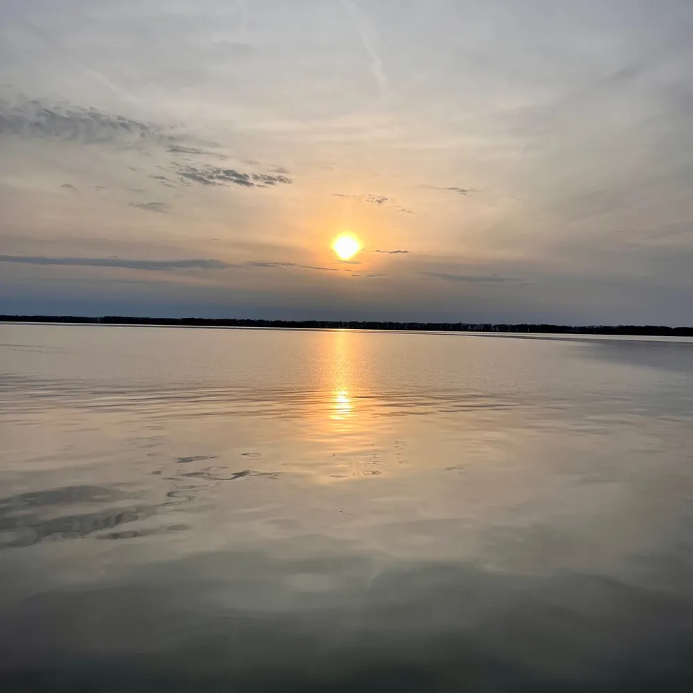 kbdogsrule.bsky.social's profile picture