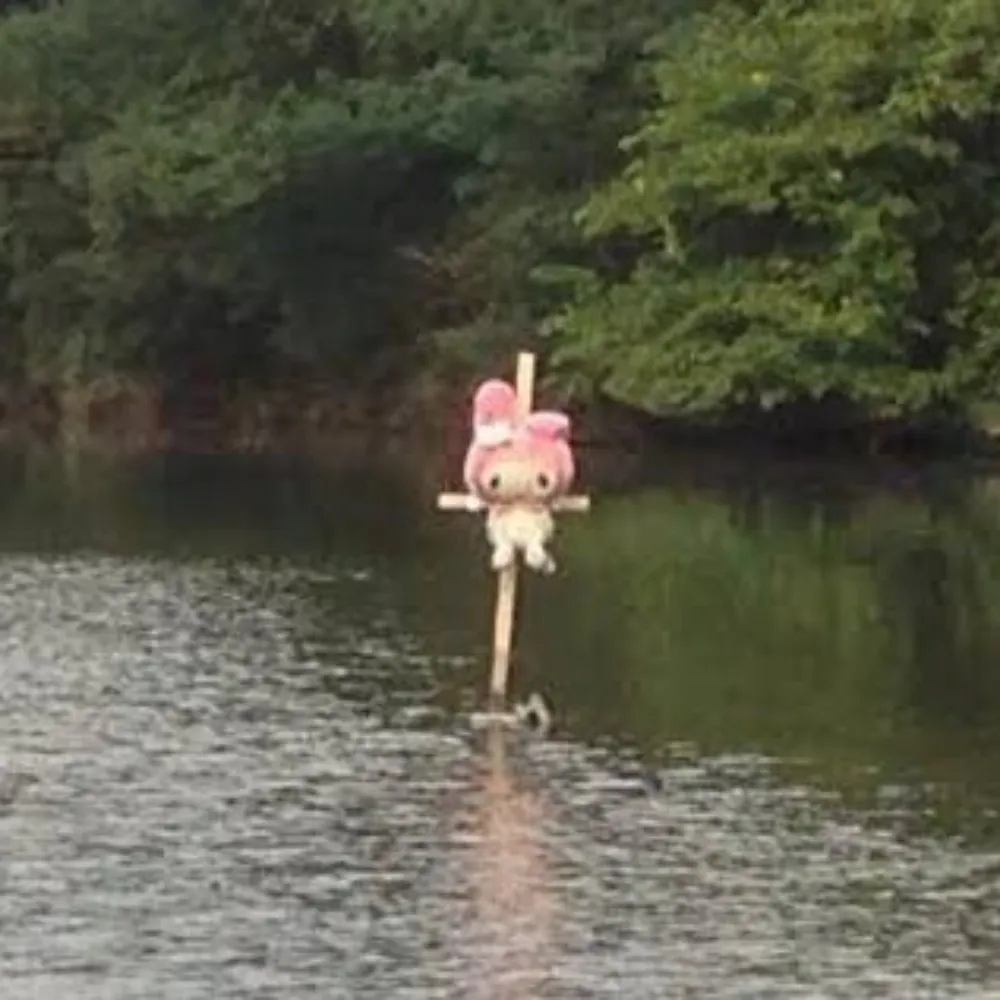 ivcxmcm.bsky.social's profile picture