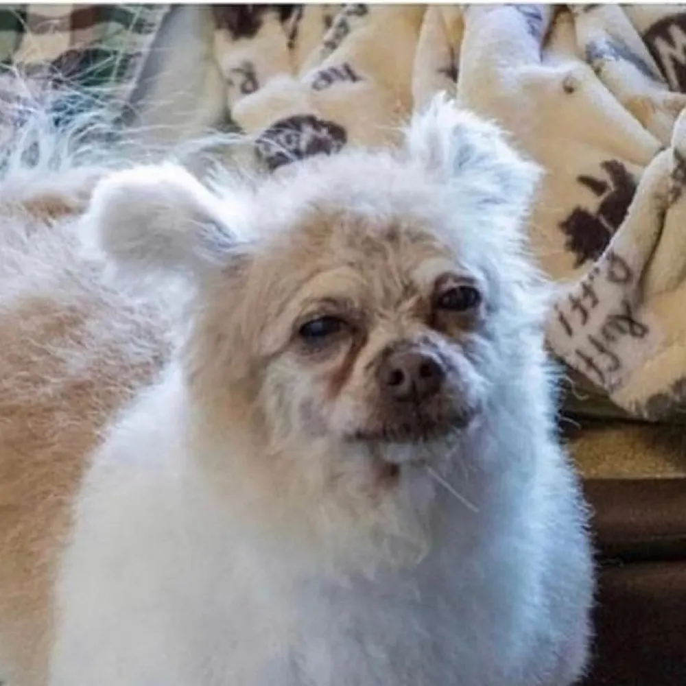 justinfalcone.com's profile picture