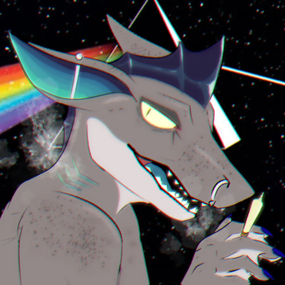 newtypeorca.bsky.social's profile picture