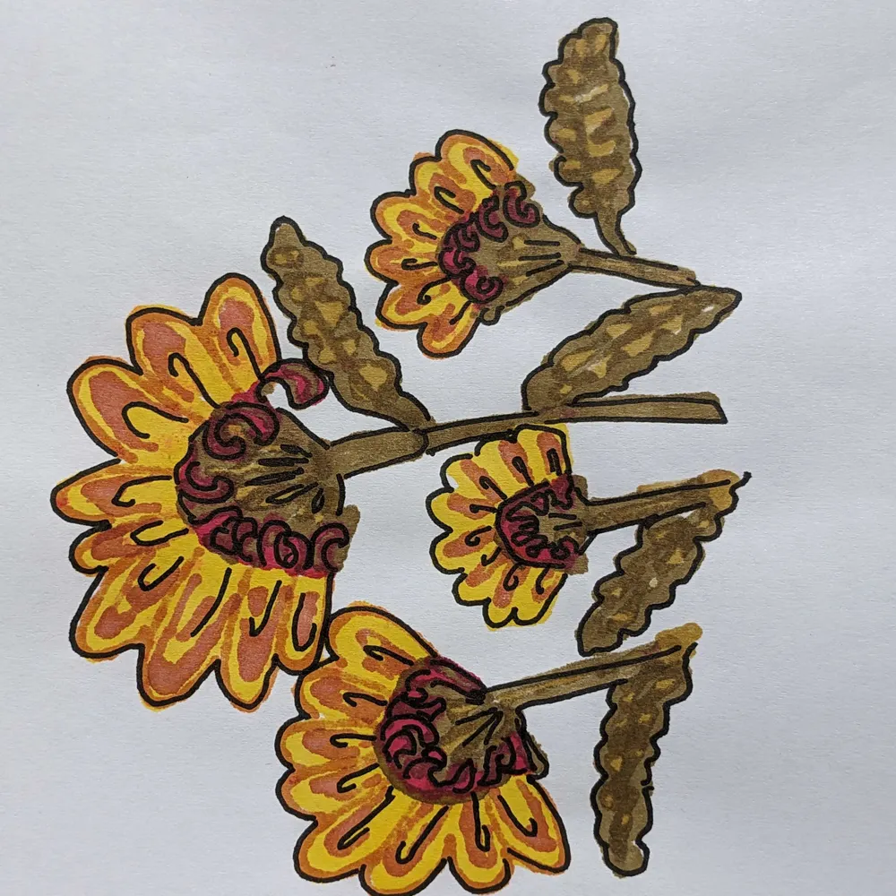 carrykarre.bsky.social's profile picture