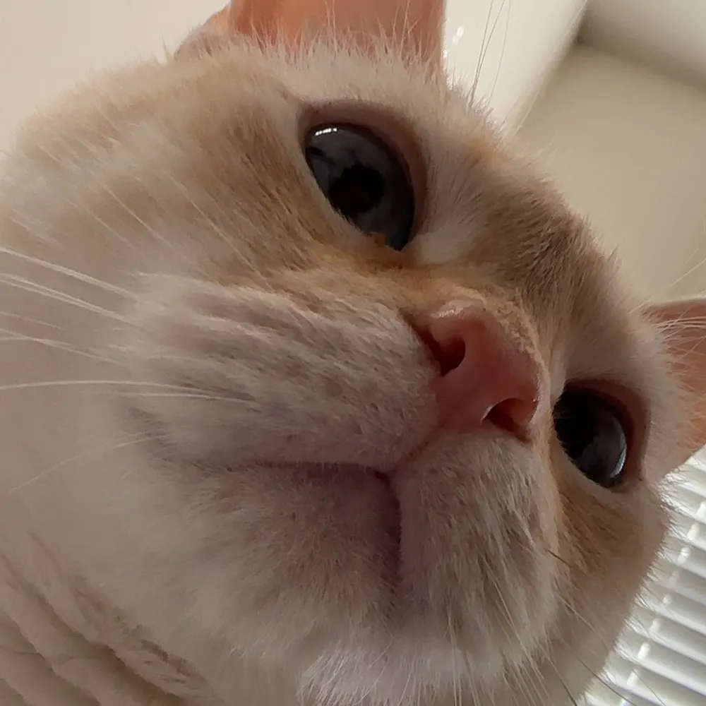 m0narch113.bsky.social's profile picture