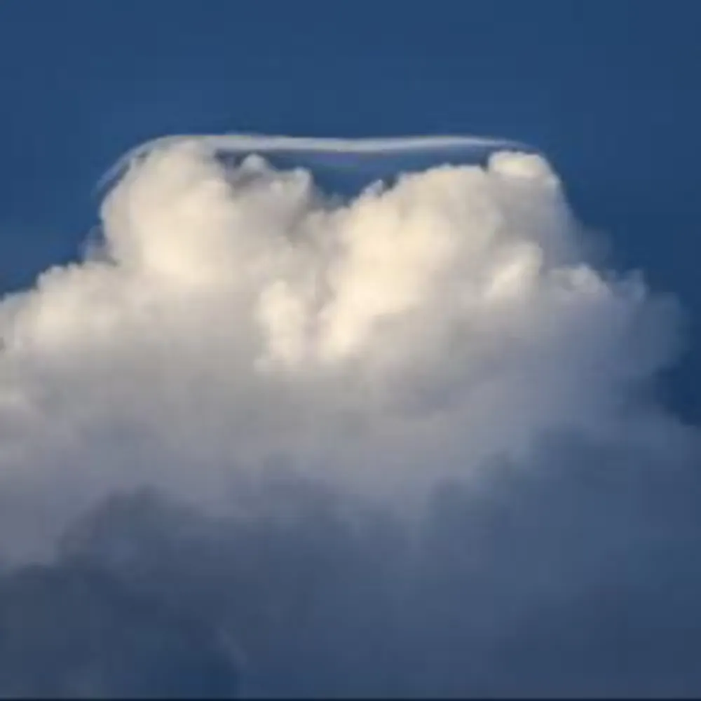 mungonna8.bsky.social's profile picture