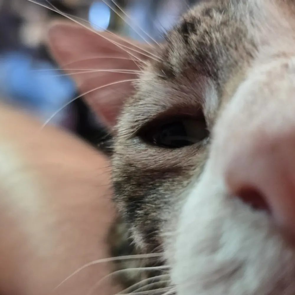 rausaga.bsky.social's profile picture