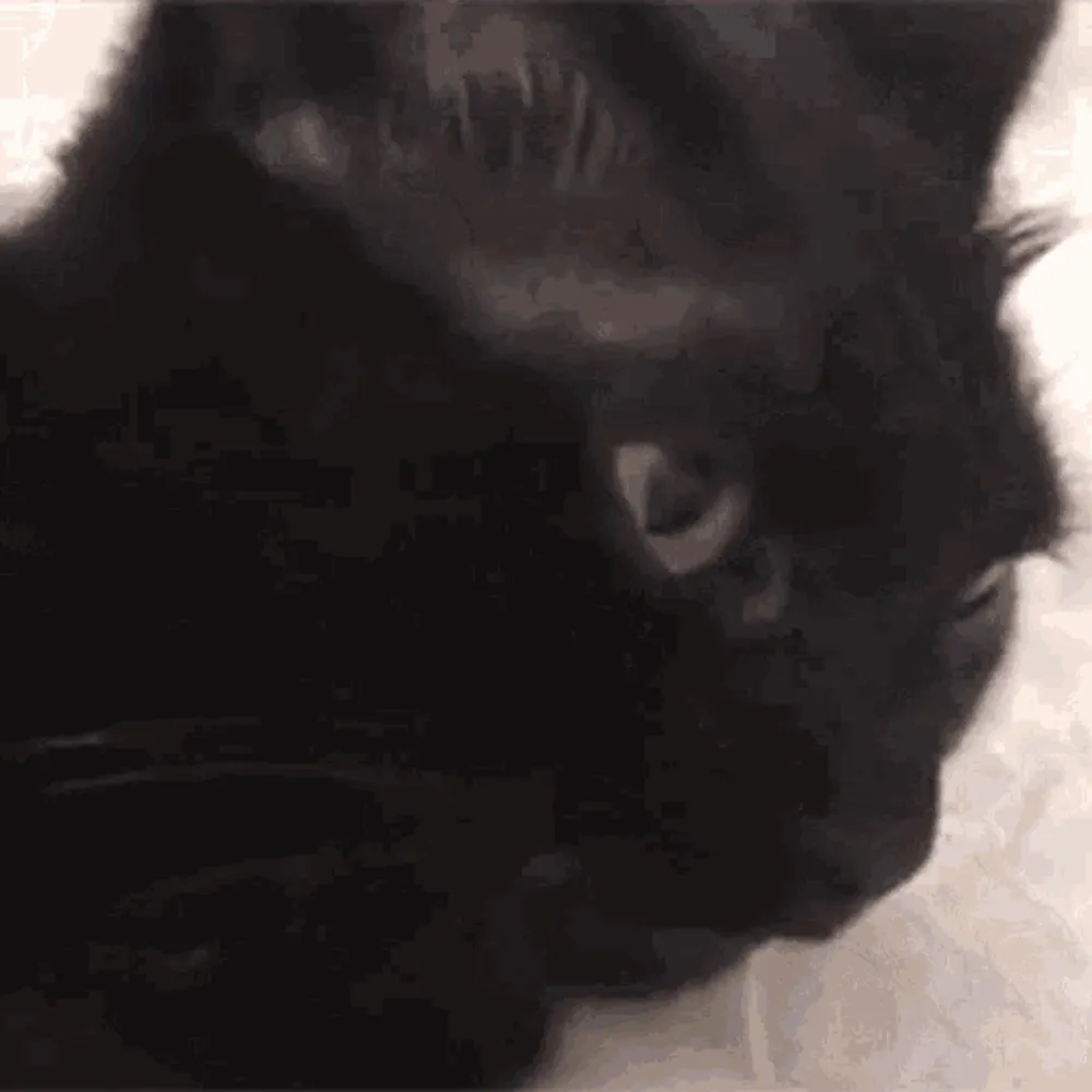 crock2poop.bsky.social's profile picture