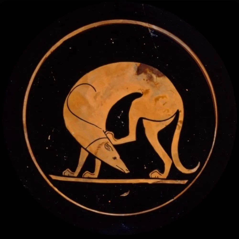 avdeggar.bsky.social's profile picture