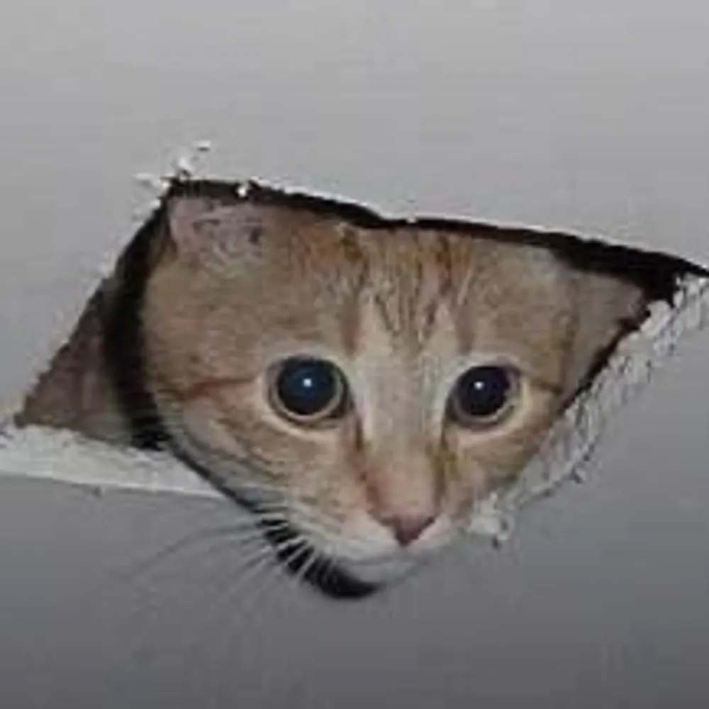 ranmathreequarters.bsky.social's profile picture