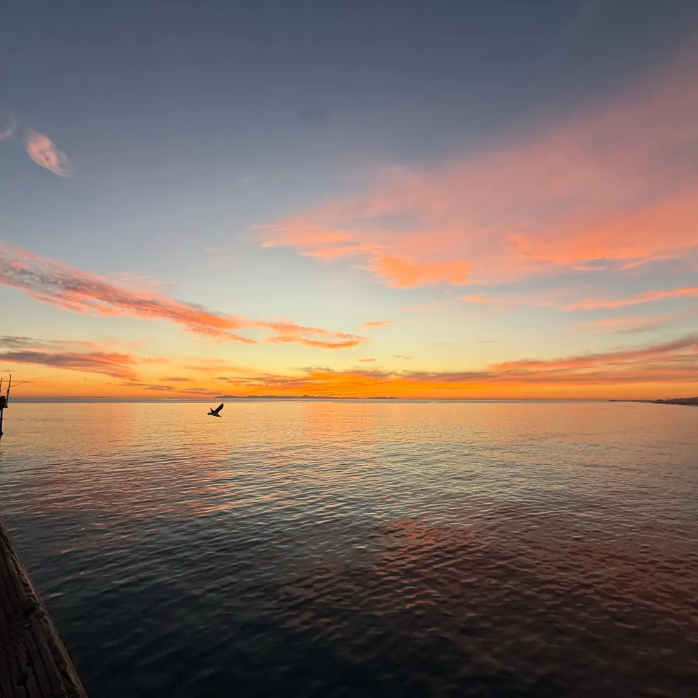 laart20.bsky.social's profile picture