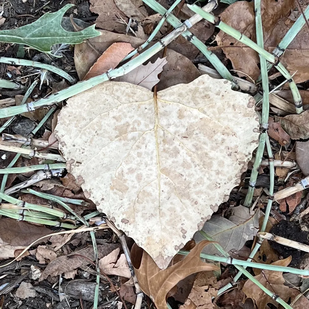 gmomthoughts.bsky.social's profile picture