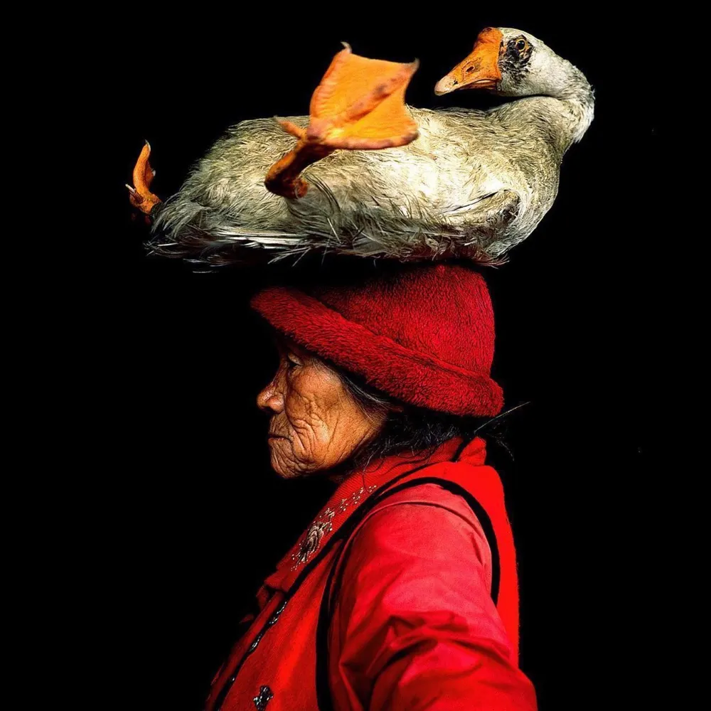 sisanne.eurosky.social's profile picture