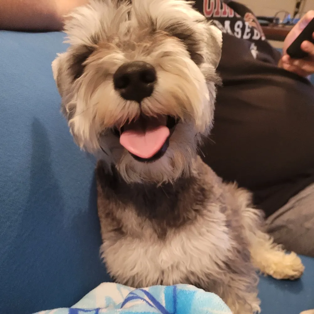 mazarin221b.bsky.social's profile picture