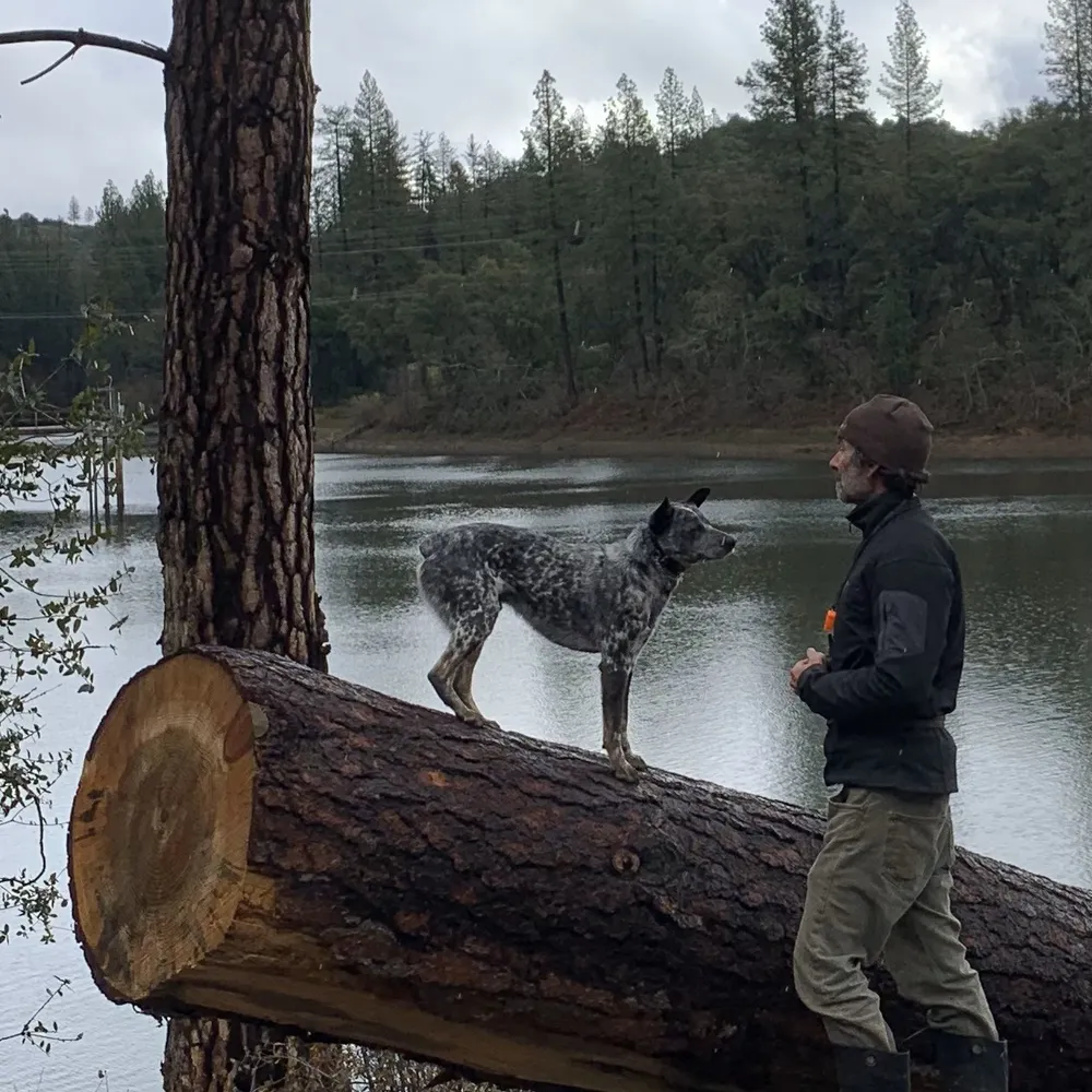 bungdan.bsky.social's profile picture