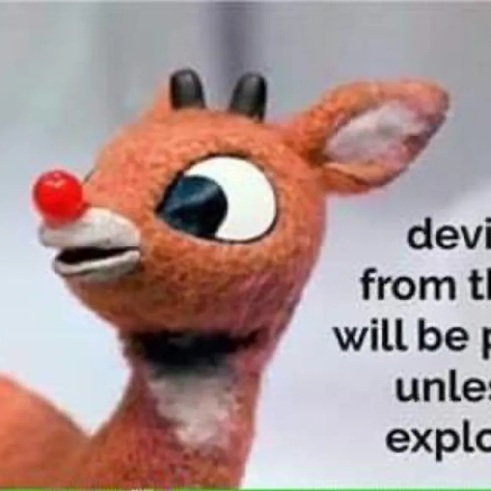 didntneedallofit.bsky.social's profile picture