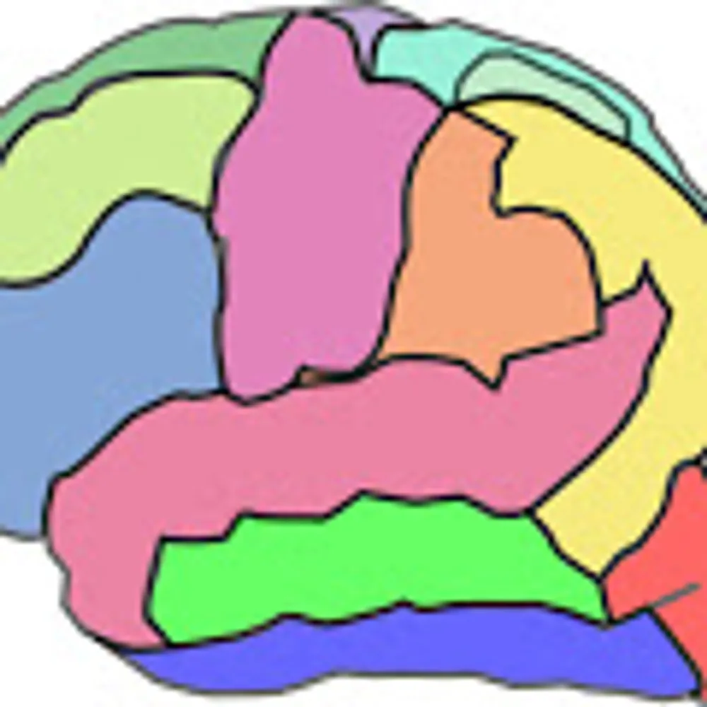 ondavidsbrain.bsky.social's profile picture