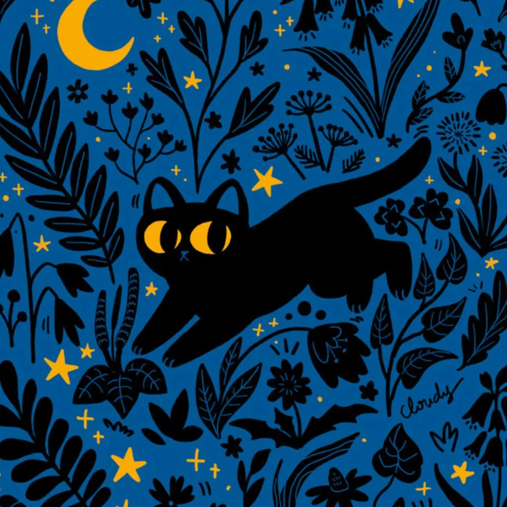 hellocloudy.bsky.social's profile picture