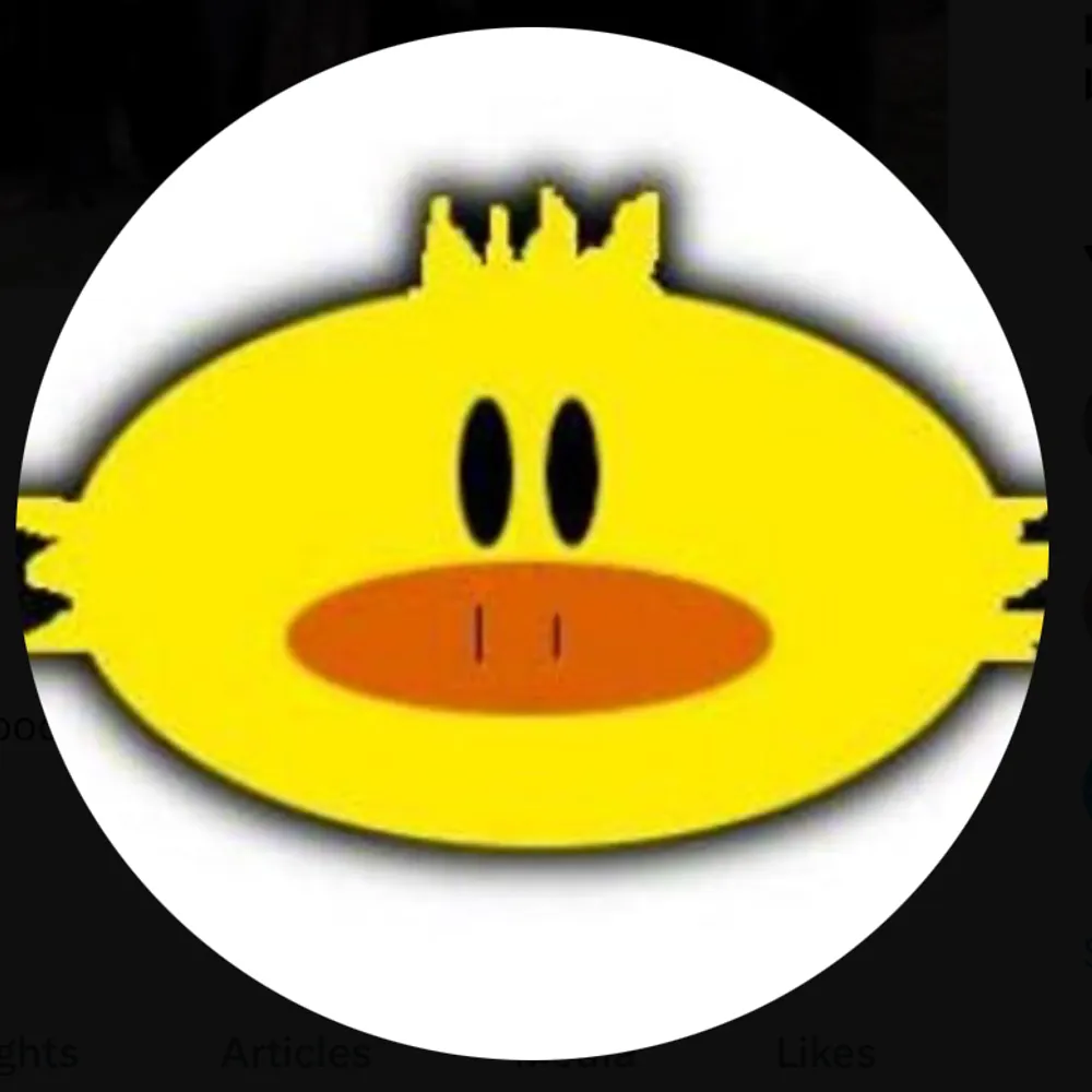 denisefh.bsky.social's profile picture