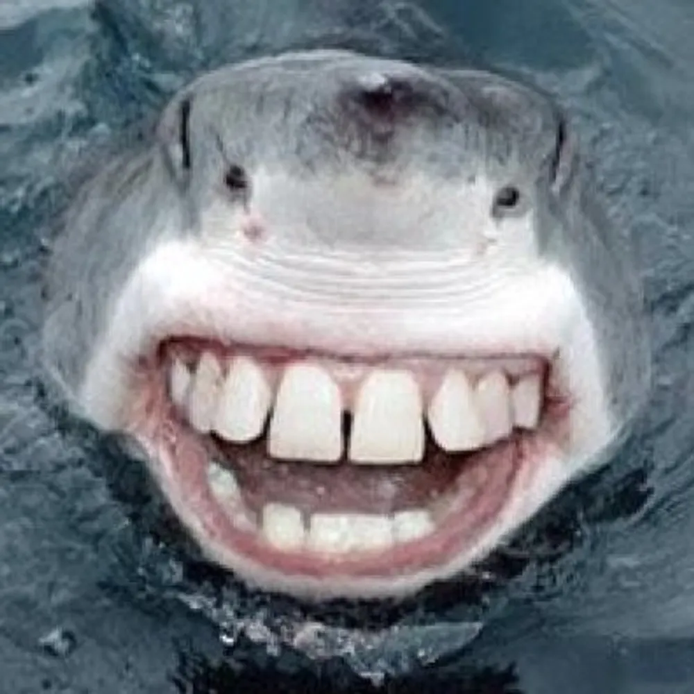 swegringo.bsky.social's profile picture