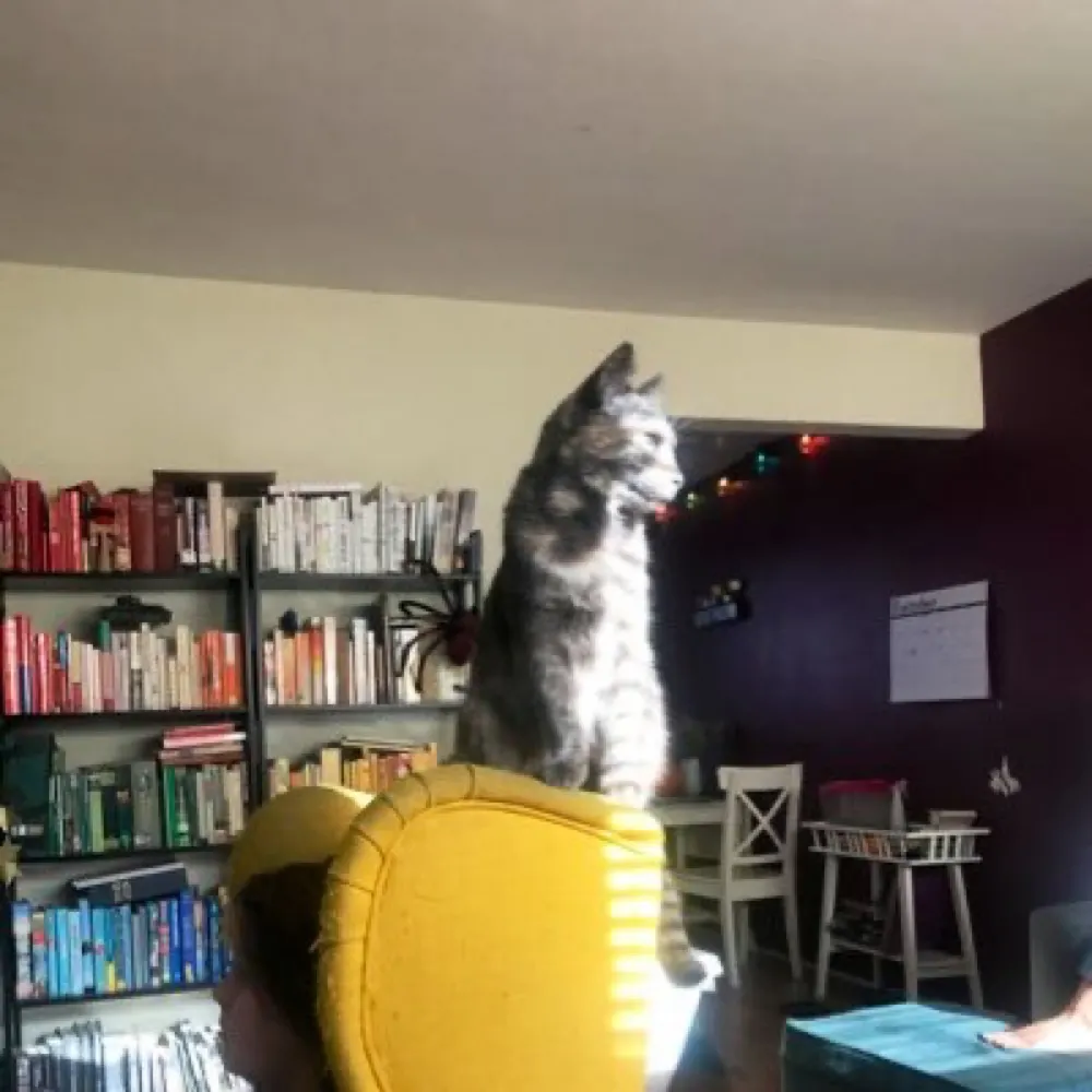 vinceness.bsky.social's profile picture