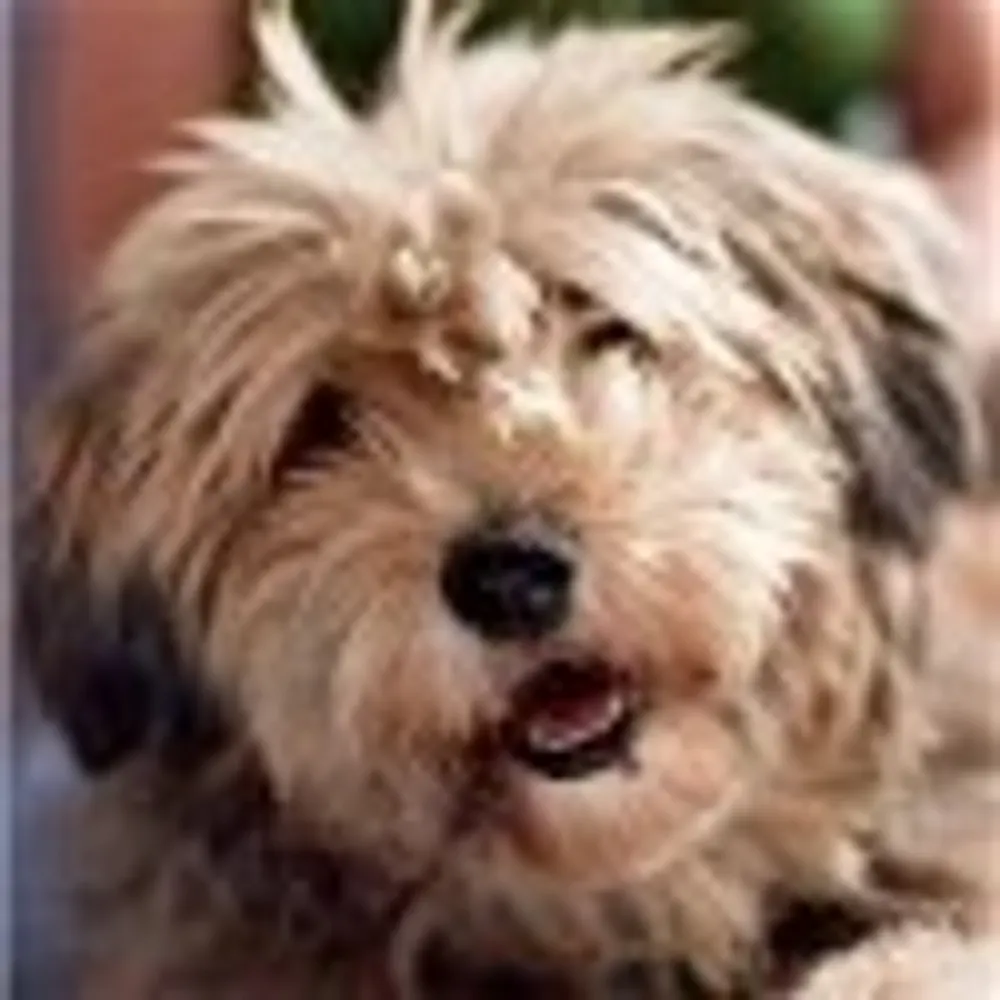 alexandrasweetie.bsky.social's profile picture