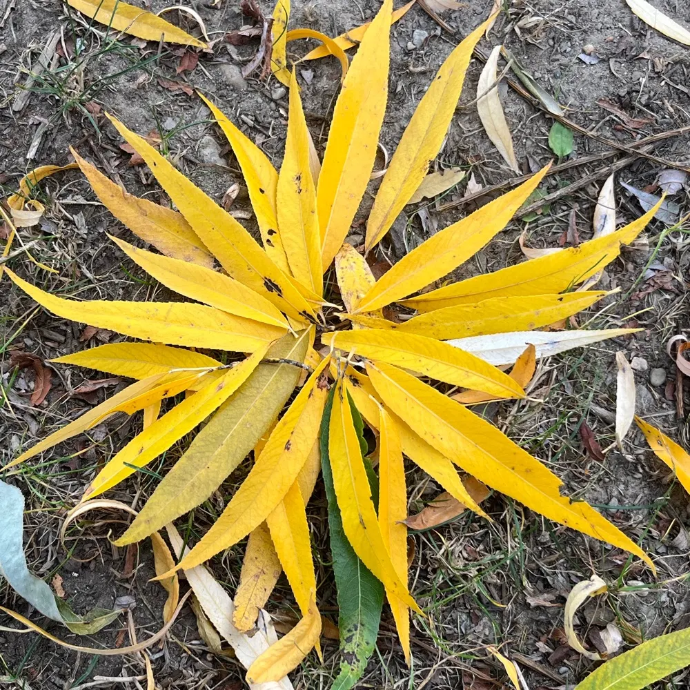 ruadhbran.bsky.social's profile picture