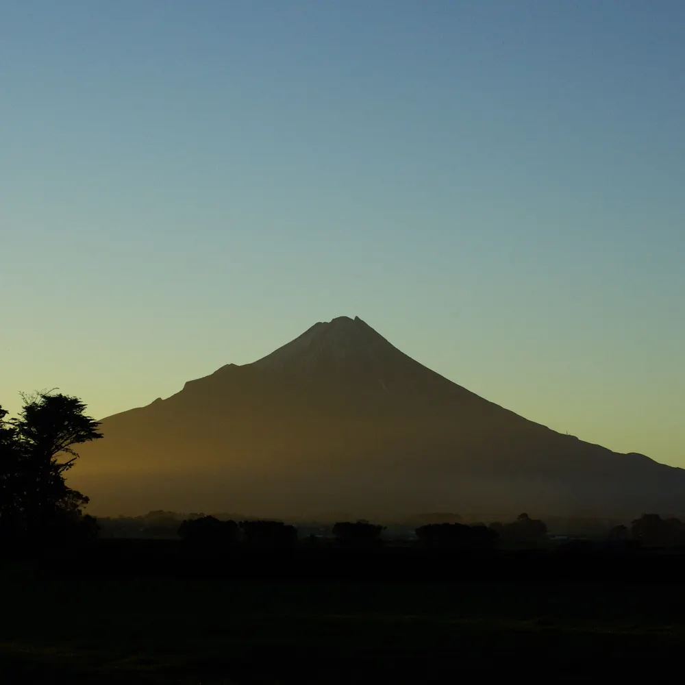 dfromaotearoa.bsky.social's profile picture