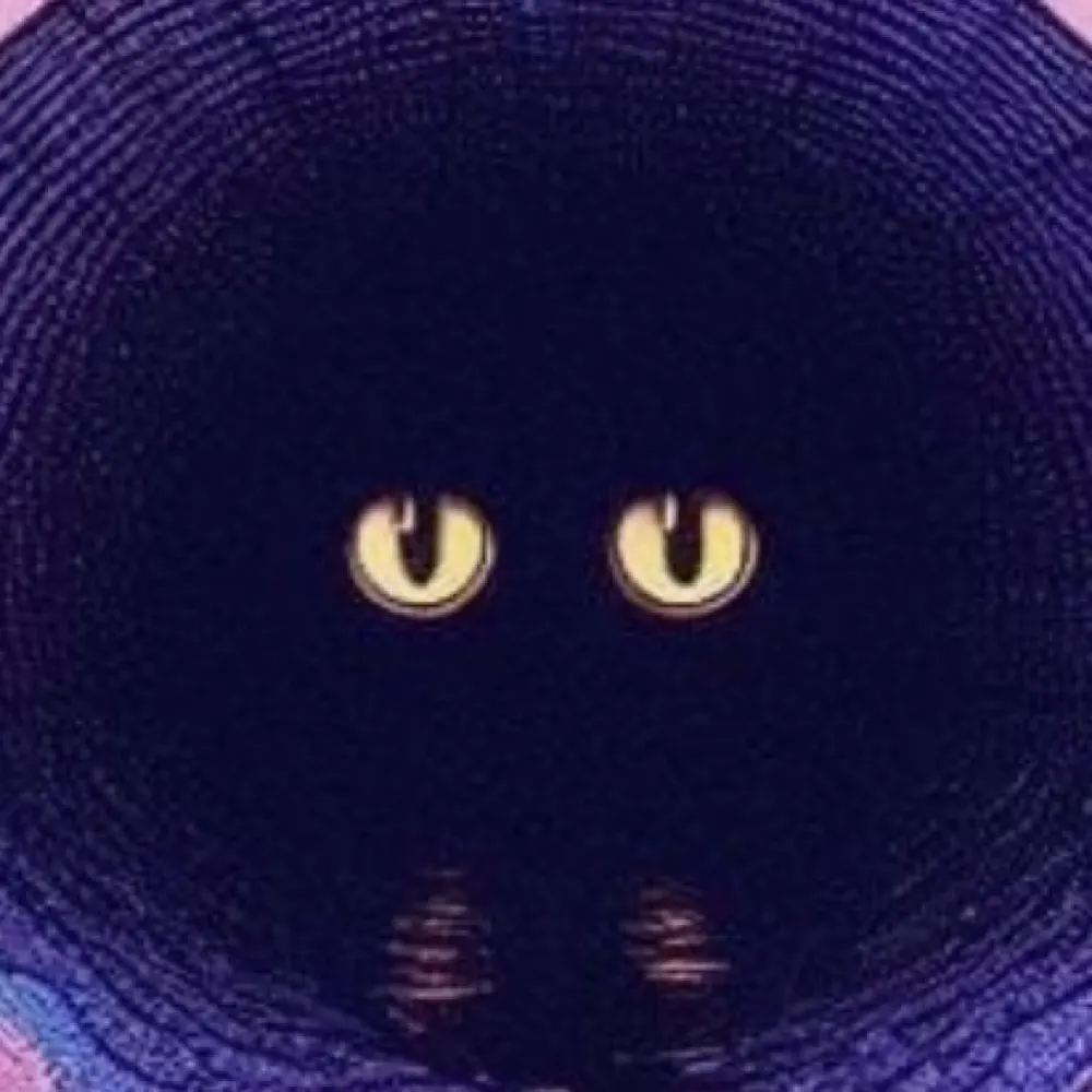 starrceline.bsky.social's profile picture