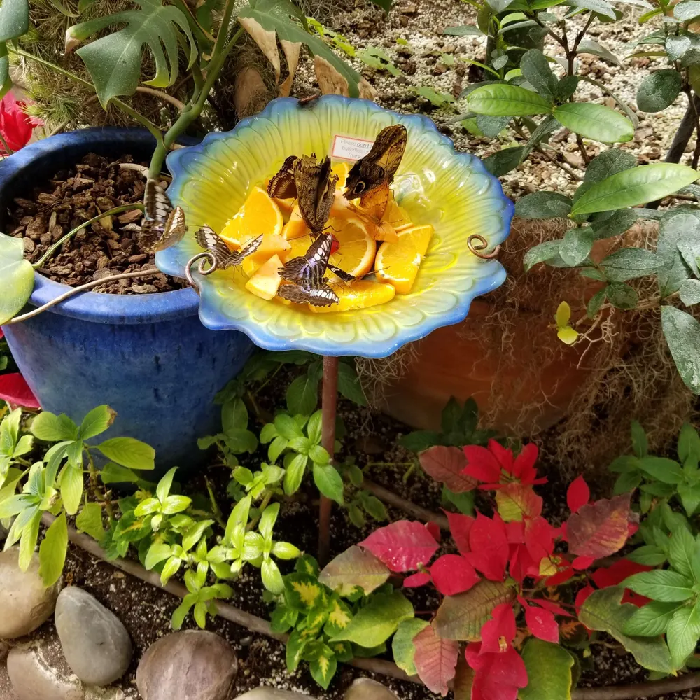 tazgal52.bsky.social's profile picture