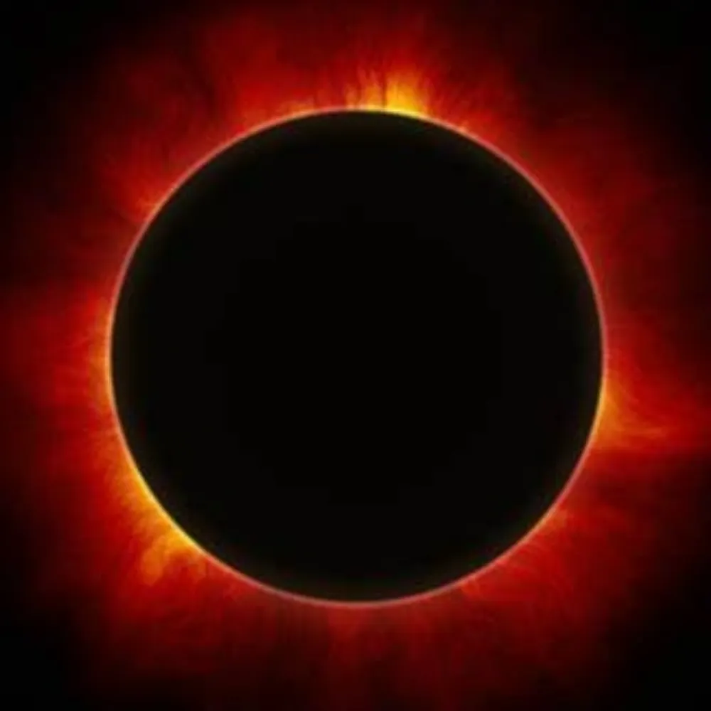 badgerstl.bsky.social's profile picture