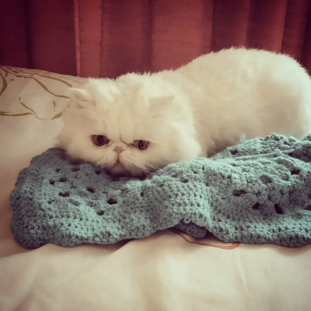 silwer24.bsky.social's profile picture