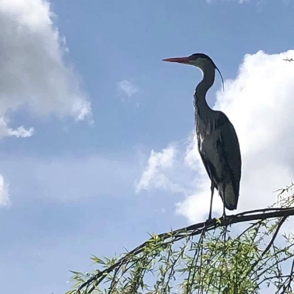 messyjess.bsky.social's profile picture