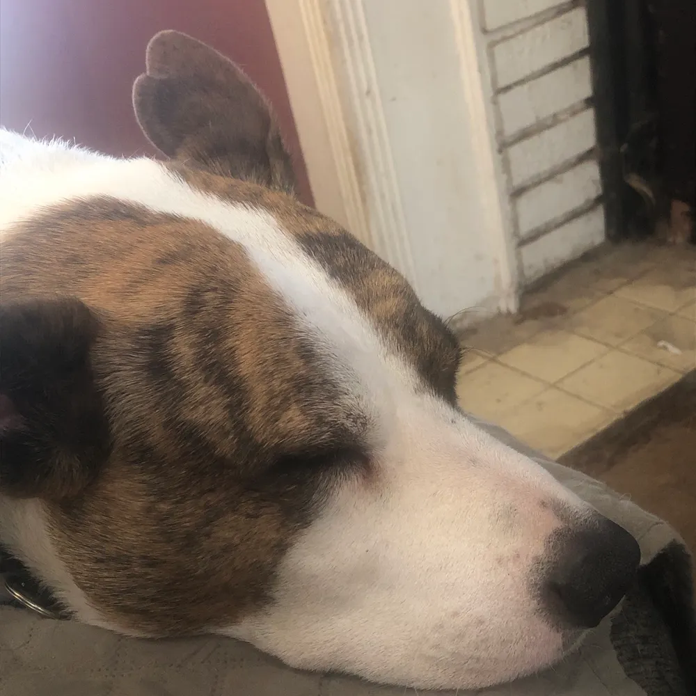 charles-198.bsky.social's profile picture