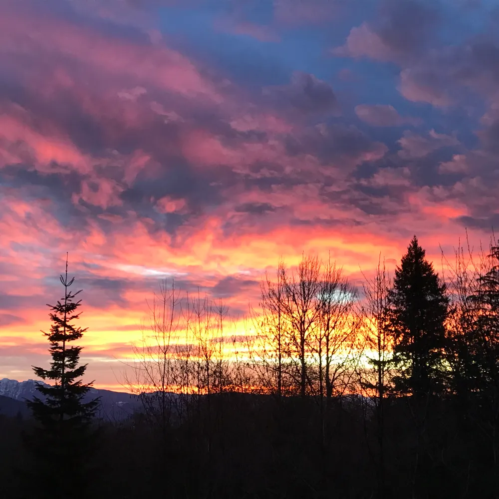 lojc.bsky.social's profile picture