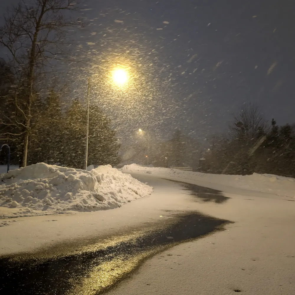 fataldo.bsky.social's profile picture