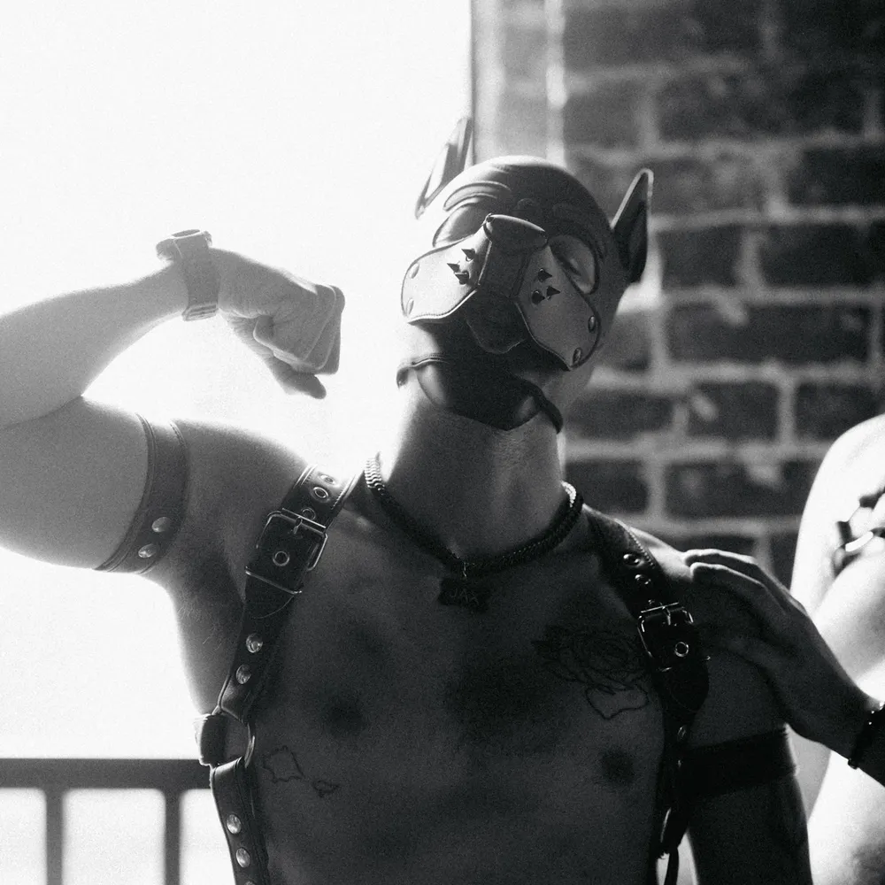 alphajax.bsky.social's profile picture