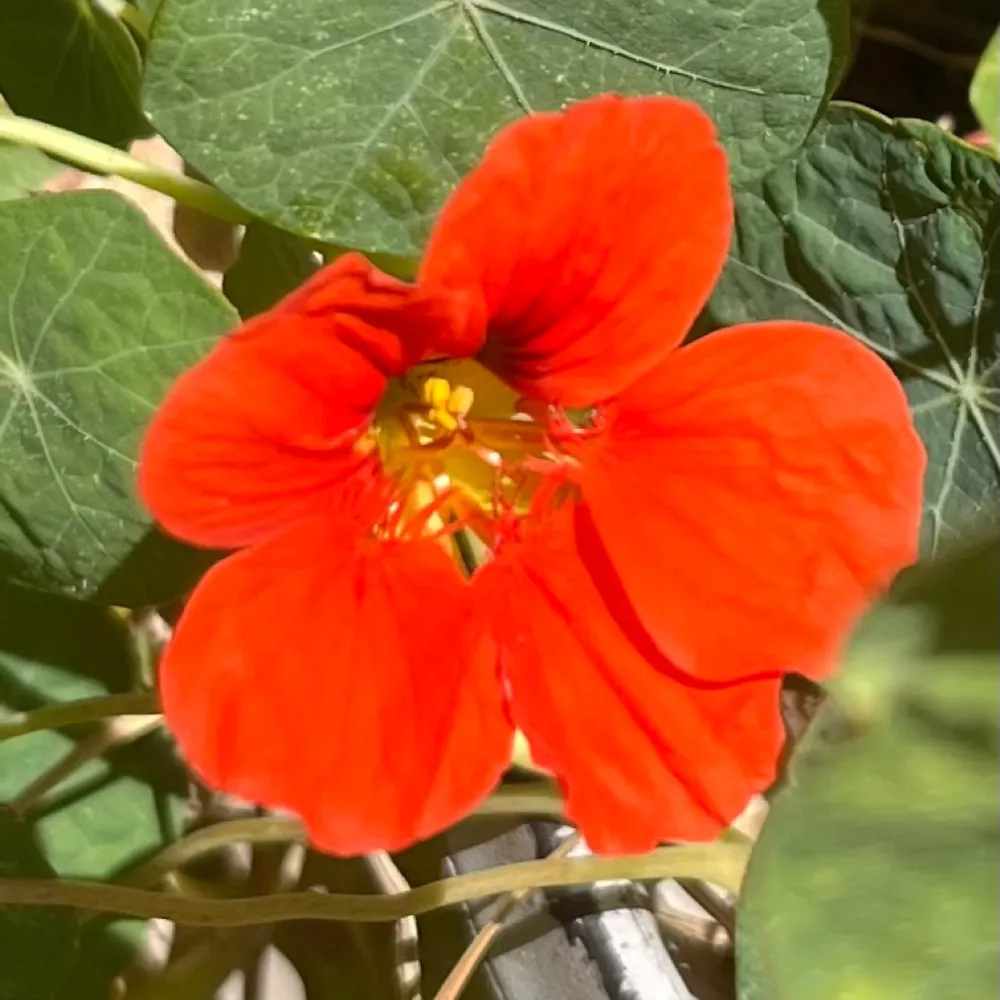 annothery.bsky.social's profile picture