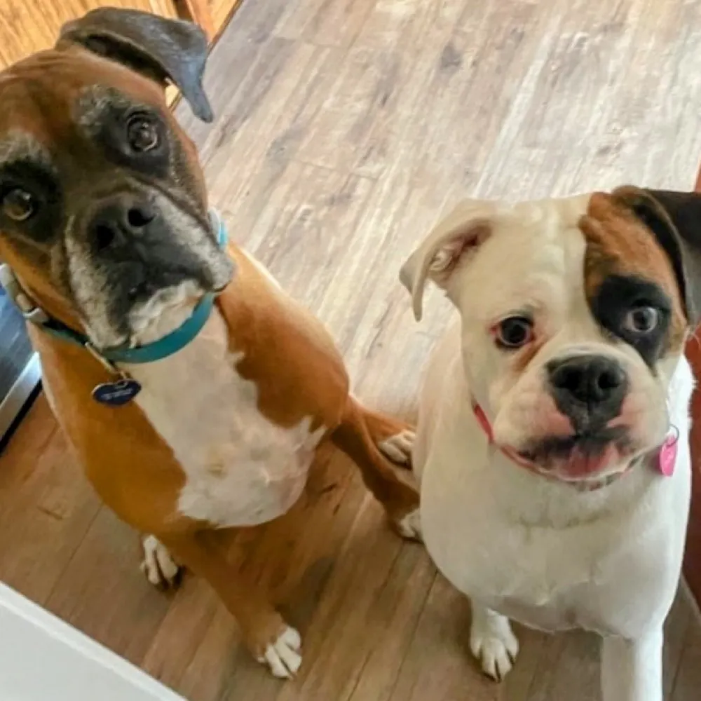 elleesgigi.bsky.social's profile picture