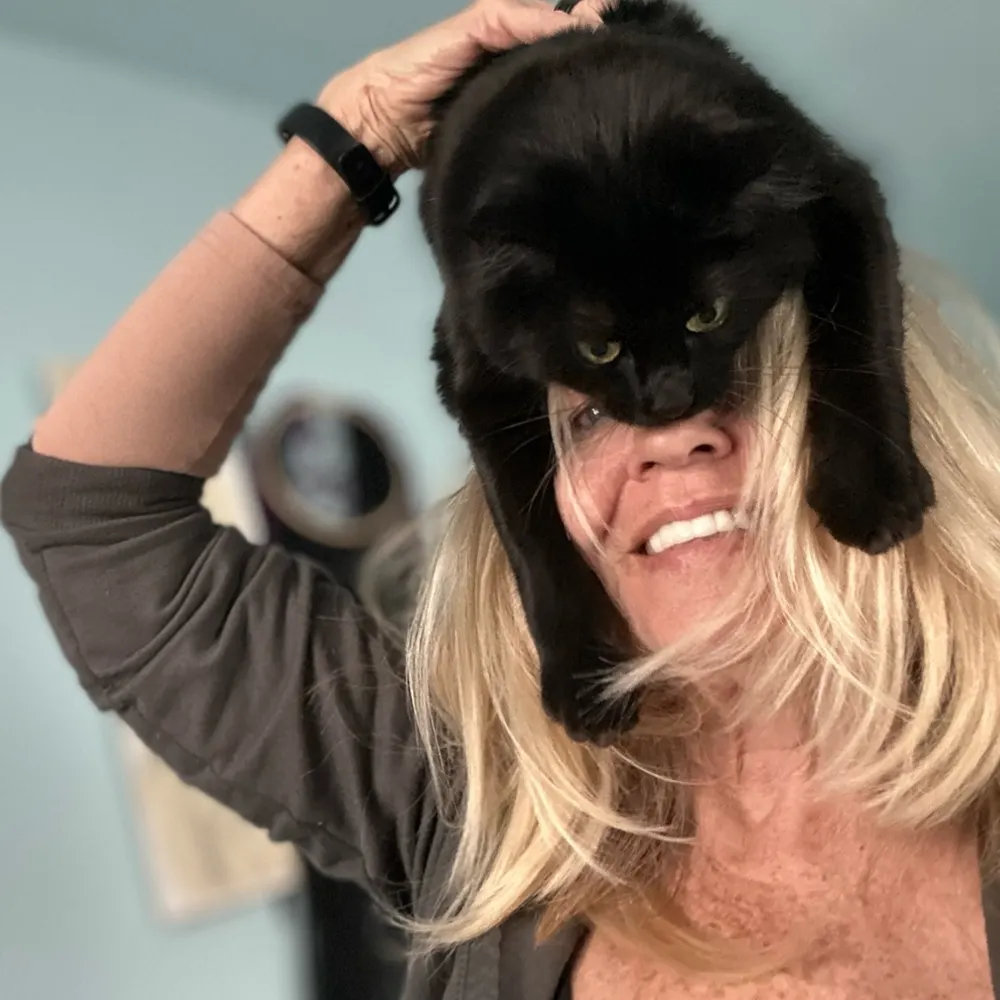 katzat.bsky.social's profile picture