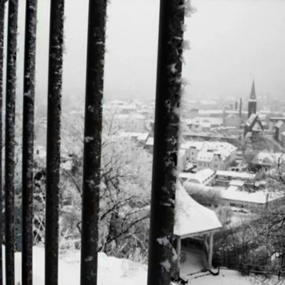 kostotom.bsky.social's profile picture